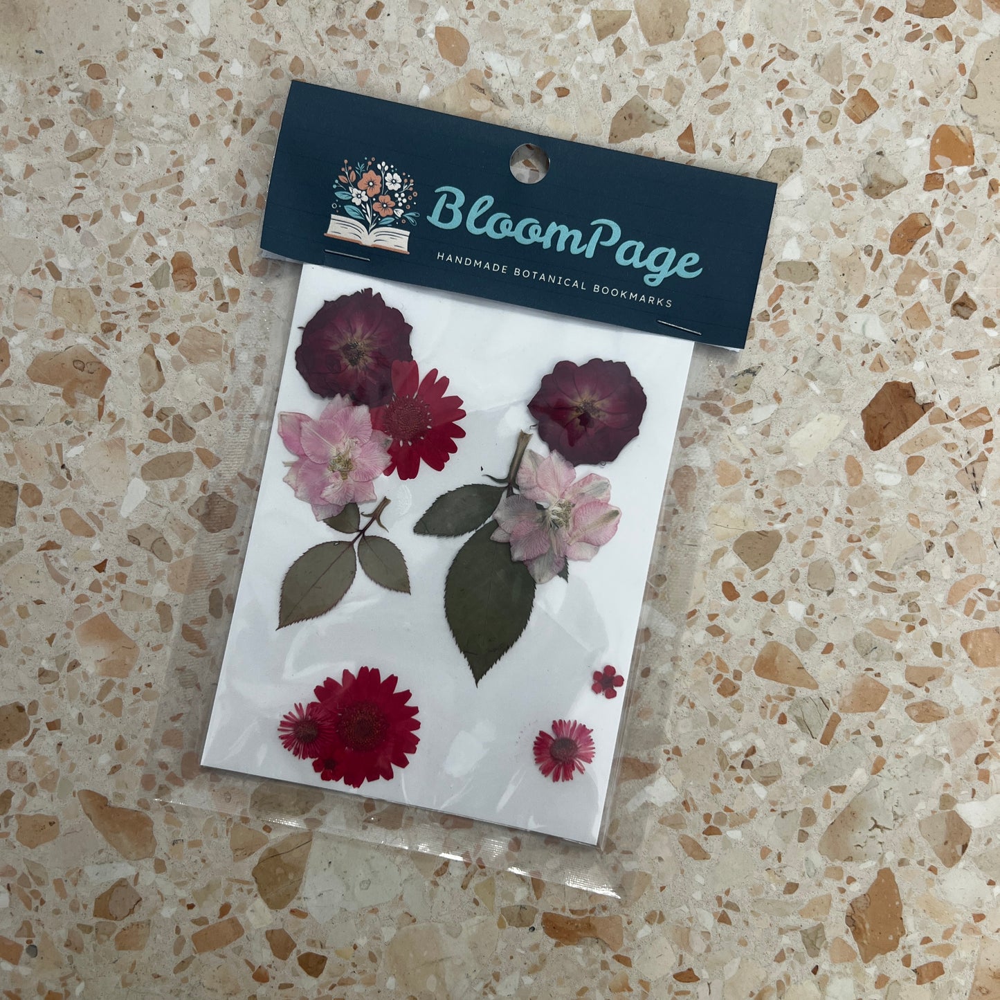 Bloom Page Dried Flowers