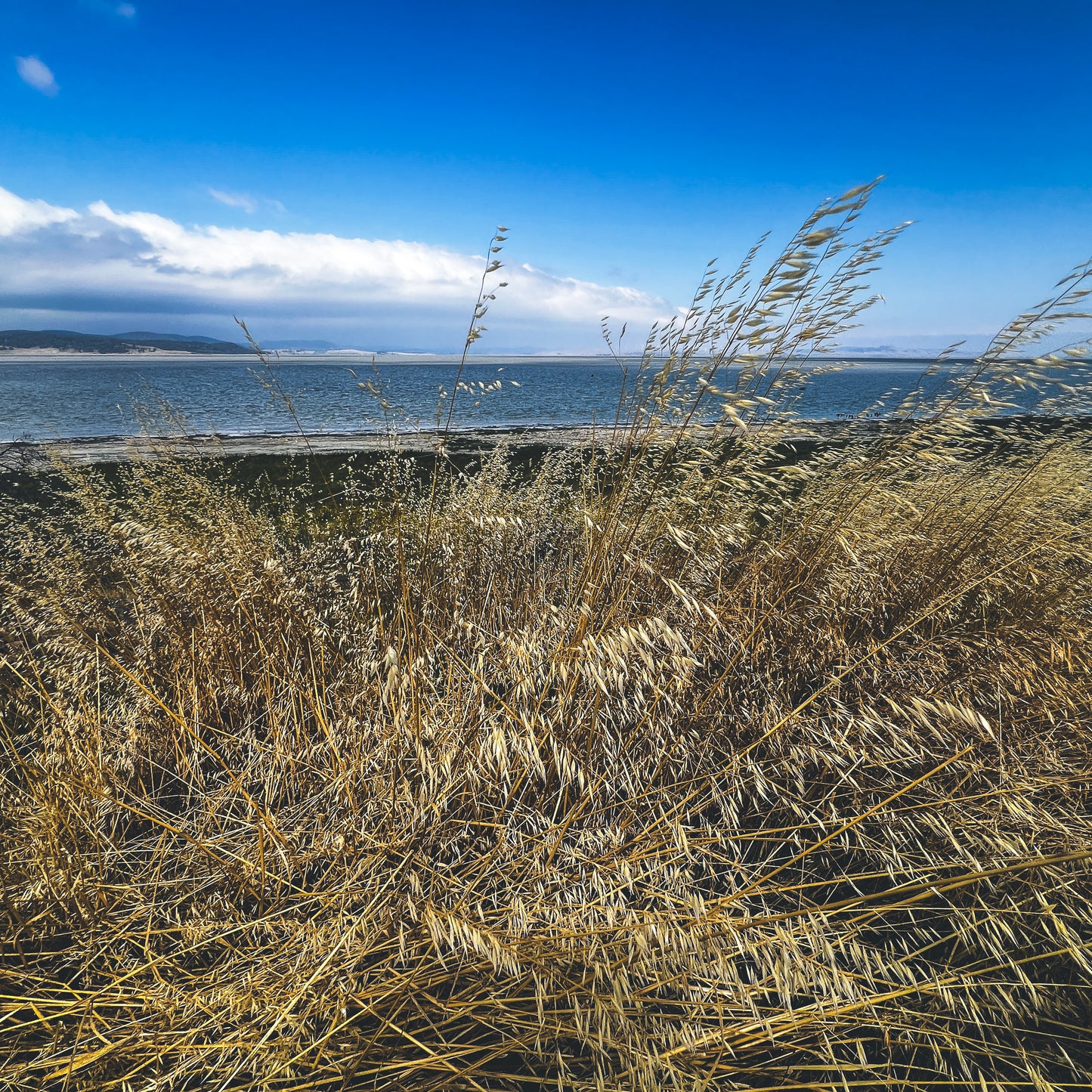 Manual Mode Unlocked: A Beginner’s Guide to Photographic Foundations | TBC