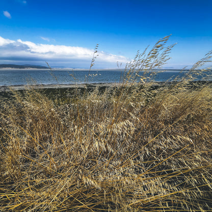 Manual Mode Unlocked: A Beginner’s Guide to Photographic Foundations | TBC